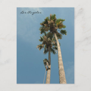 Carte postale Los Angeles amusante !