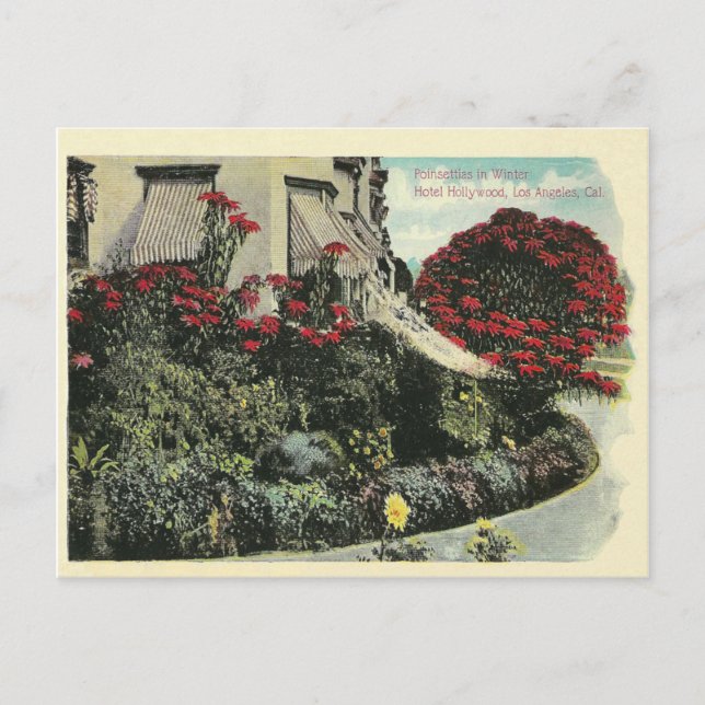 Carte Postale Los Angeles vintage Californie (Devant)