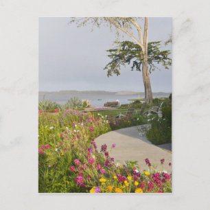 Carte Postale Los Osos et Baywood Park réunis