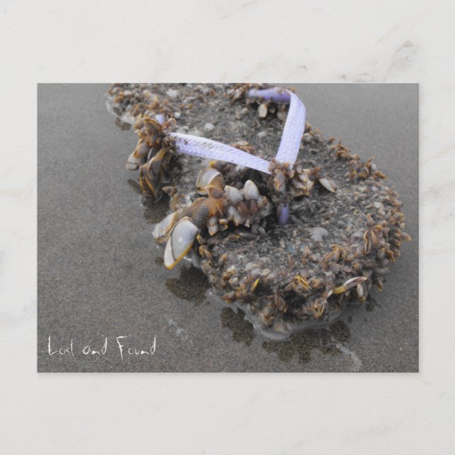 Carte Postale Lost and Found (Devant)