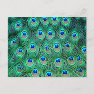 Carte Postale lotsDePlumes