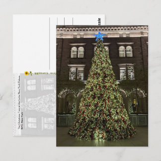 Carte Postale Lotte New York Palace Sapin de Noël (2025) - 