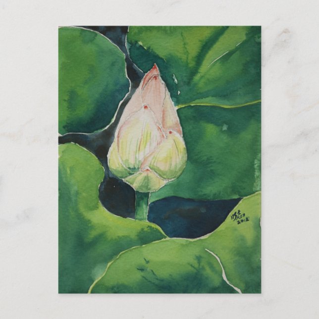 Carte postale Lotus (Devant)