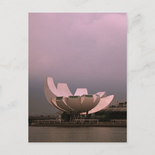 Carte Postale Lotus (Devant)