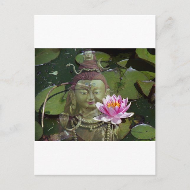 Carte Postale Lotus 1 & Bouddha (Devant)