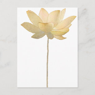 Carte postale Lotus blanc