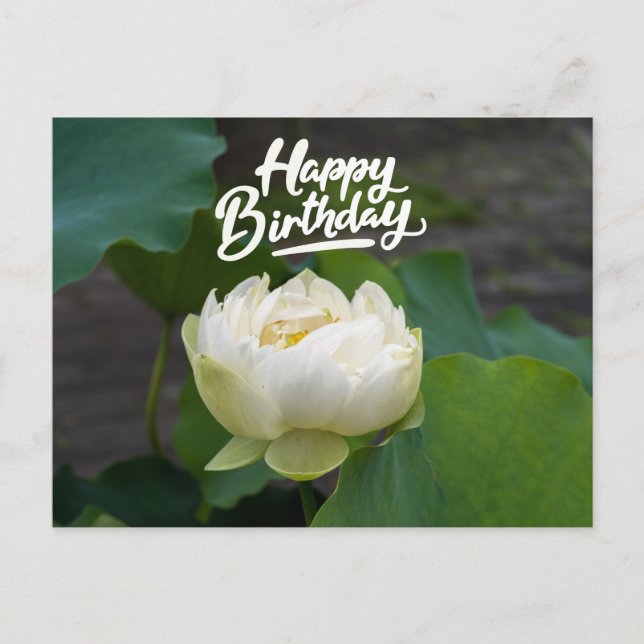 Carte Postale Lotus blanc avec mot Joyeux anniversaire (Devant)