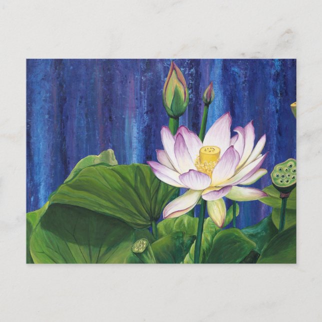 Carte postale Lotus Dream (Devant)
