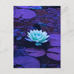 Carte Postale Lotus Fleur violet bleu Turquoise Floral Pond Zen