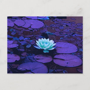 Carte Postale Lotus Fleur violet bleu Turquoise Floral Pond Zen