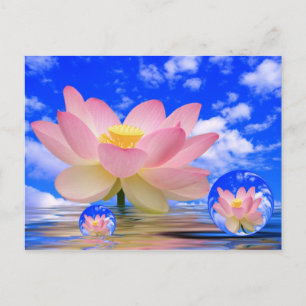Carte Postale Lotus Flower né dans l'eau