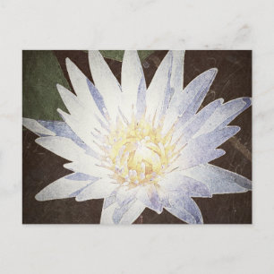 CARTE POSTALE "LOTUS PEINTS"