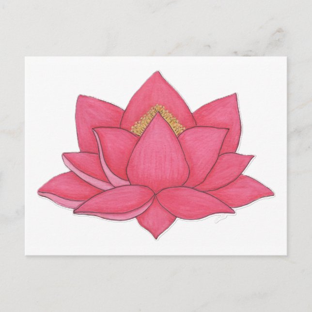 Carte Postale Lotus rose (Devant)