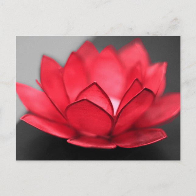 Carte Postale Lotus rouge (Devant)