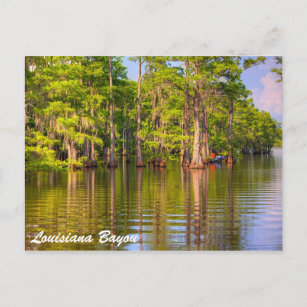 Carte Postale Louisiane Bayou