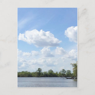 Carte Postale Louisiane Bayou