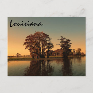 Carte Postale Louisiane bayou