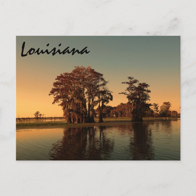 Carte Postale Louisiane bayou (Devant)