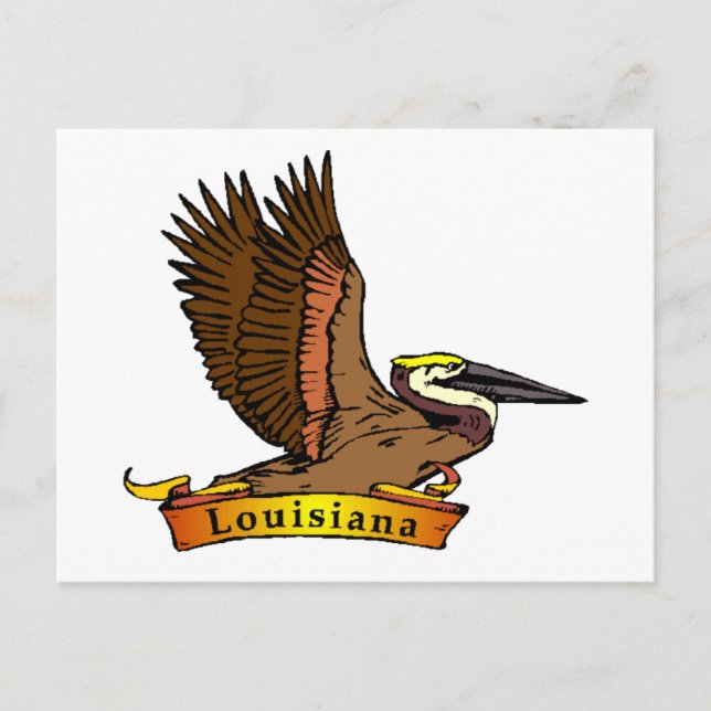 Carte Postale Louisiane Brown Pélican (Devant)