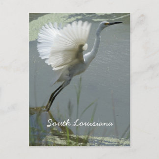 Carte Postale Louisiane du Sud