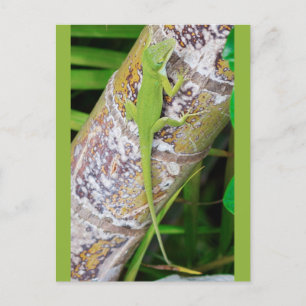 Carte Postale Lounge Lizard Green Gecko