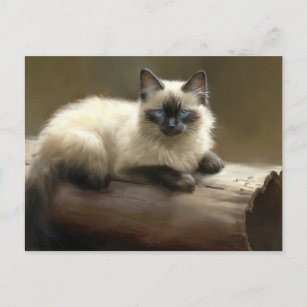 Carte Postale Lounger Siamese Kitten