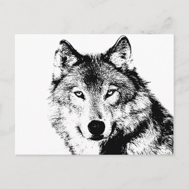 Carte Postale Loup (Devant)