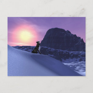 Carte Postale loup