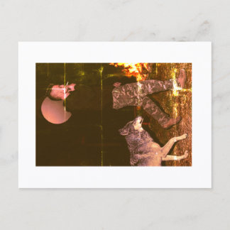 Carte Postale Loup Accessible