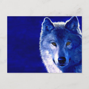 Carte Postale Loup bleu