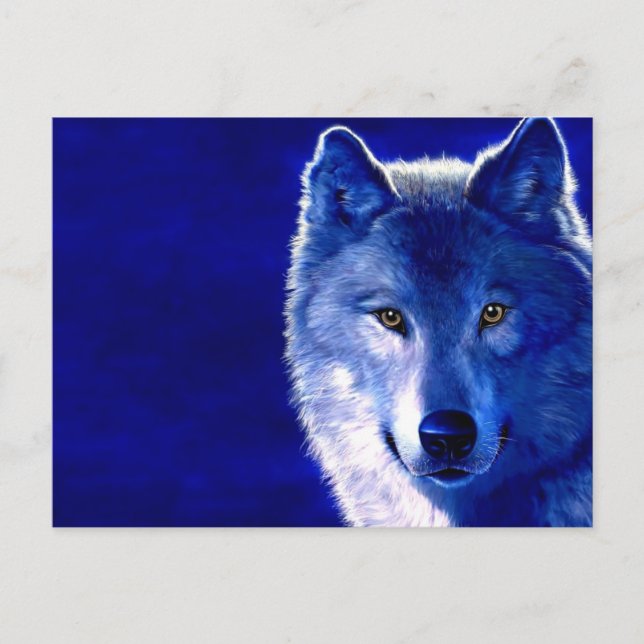 Carte Postale Loup bleu (Devant)
