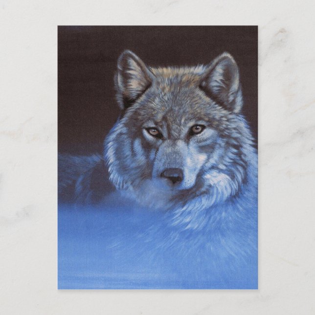 Carte Postale Loup bleu (Devant)