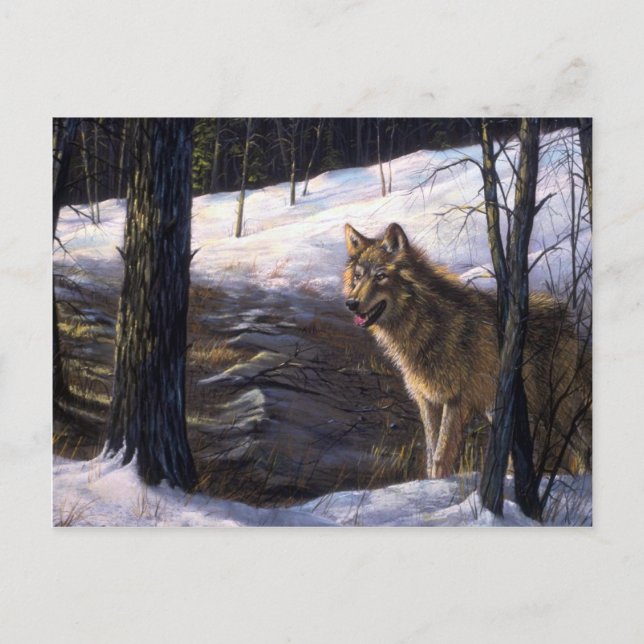 Carte Postale Loup de bois nordique (Devant)