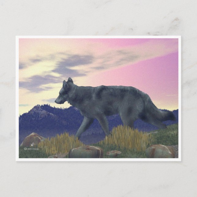 Carte Postale Loup de grand pays (Devant)