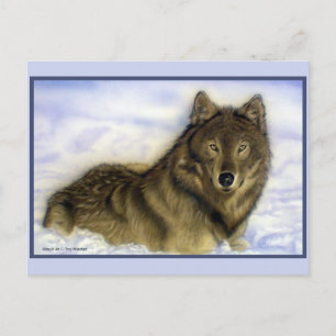 Carte Postale Loup d'hiver