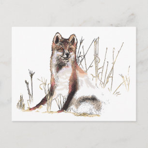 Carte Postale Loup d'hiver