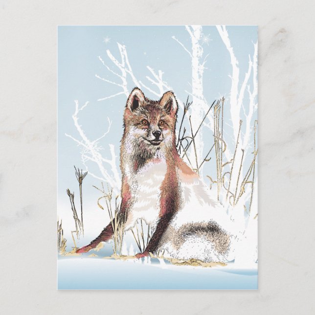Carte Postale Loup d'hiver (Devant)