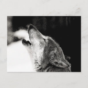 Carte Postale Loup d'hurlement