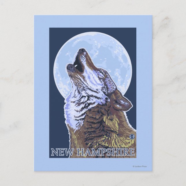 Carte Postale Loup du New HampshireHowling (Devant)