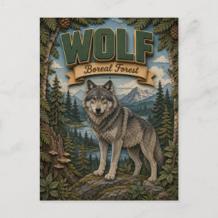 Carte Postale Loup Forêt Boréale POPCUT