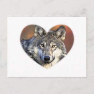 Carte Postale Loup gris