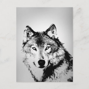 Carte postale Loup gris