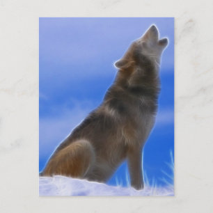 Carte Postale Loup gris en voie de disparition