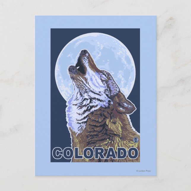 Carte Postale Loup gris Howling Colorado (Devant)