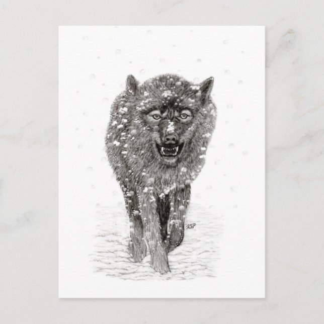 Carte Postale Loup noir en colère dans la neige, hiver sauvage (Devant)