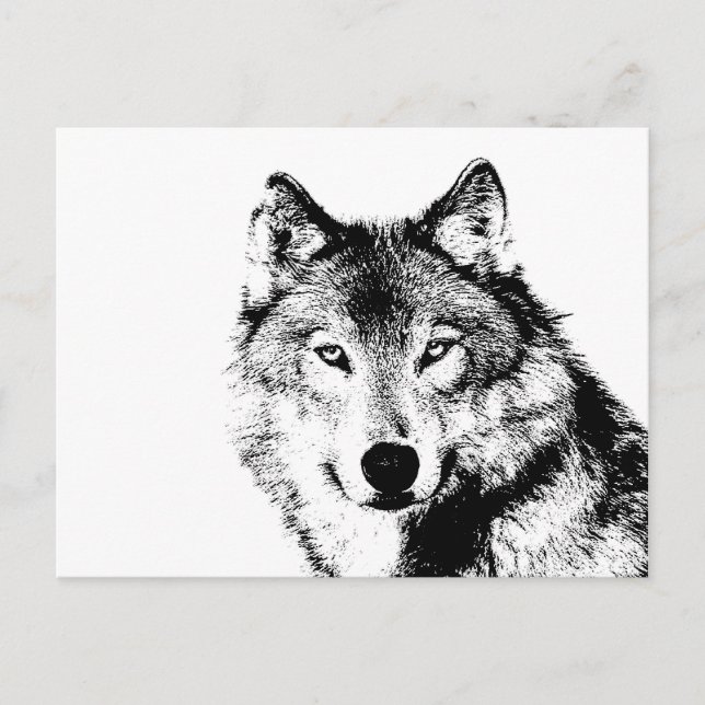 Carte Postale Loup noir et blanc (Devant)