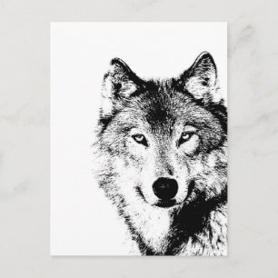 Carte Postale Loup noir et blanc