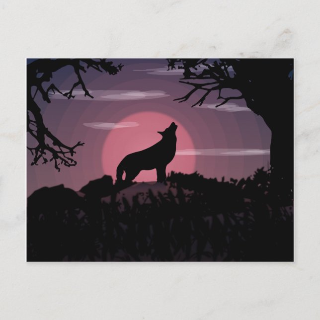 Carte Postale loup pleine lune (Devant)
