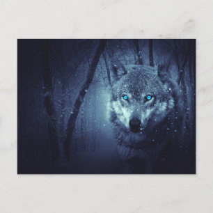 Carte Postale Loup sauvage avec de beaux yeux bleus