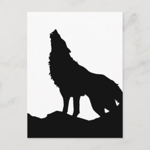 Carte Postale Loup solitaire debout sur une colline
